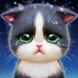 KittenMatch icon