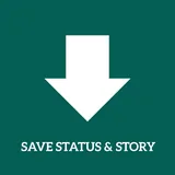 WhatsApp Story Saver icon