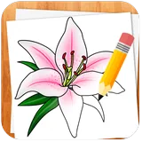 Draw Flowers icon