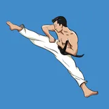 Mastering Taekwondo icon