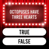 Trivia Time icon