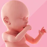 Pregnancy icon