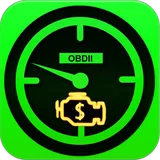 Check Engine Light icon