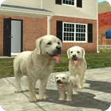 Dog Sim icon