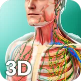 Human Anatomy icon