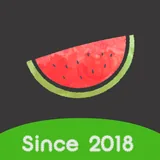 Melon VPN icon