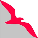 Air Arabia icon