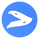 Wize Video icon