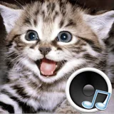 Animal sounds icon