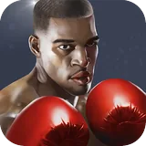 Punch Boxing icon