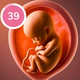 Pregnancy Tracker icon