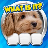 Guess it! icon