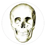 Anatomy Quiz icon