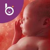 Babelli icon