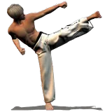 Taekwondo Forms icon