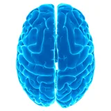 Logical tests icon