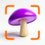 Mushroom Identification icon