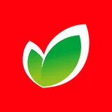 O icon