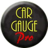 Car Gauge Pro (OBD2 + Enhance) icon