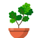 Terrarium icon