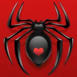 Spider Solitaire Classic icon