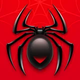 Spider Solitaire icon