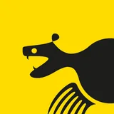 Klo icon