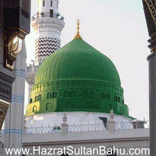 Madina Live icon