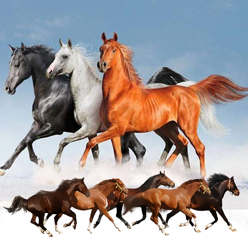HORSE RACING PRO icon