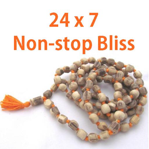 Chant Hare Krishna icon