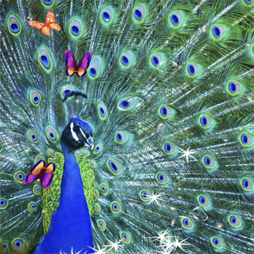 3D Peacocks Live Wallpaper icon