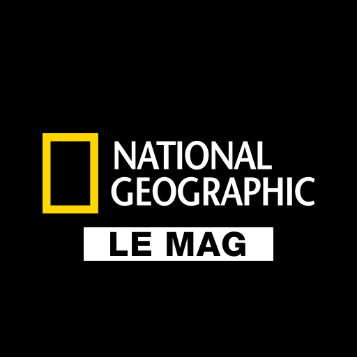 NG France icon