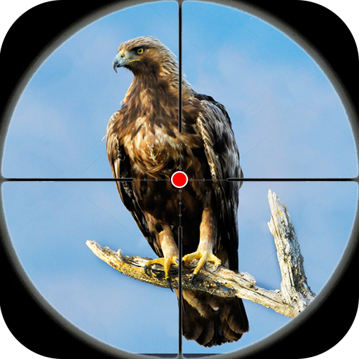 Desert Birds Sniper Shooter icon