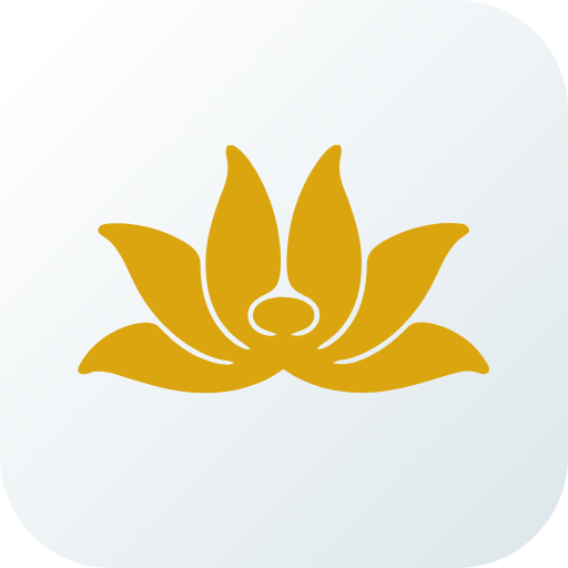 Vietnam Airlines icon